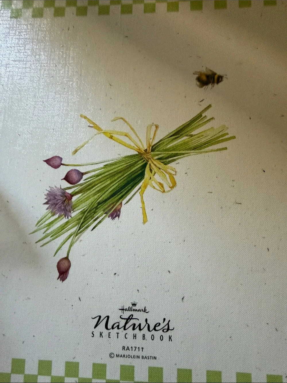Hallmark Nature's Sketchbook Cover - Green, Cream